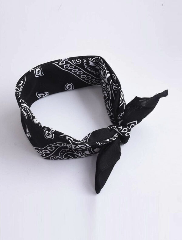 Paisley Bandana